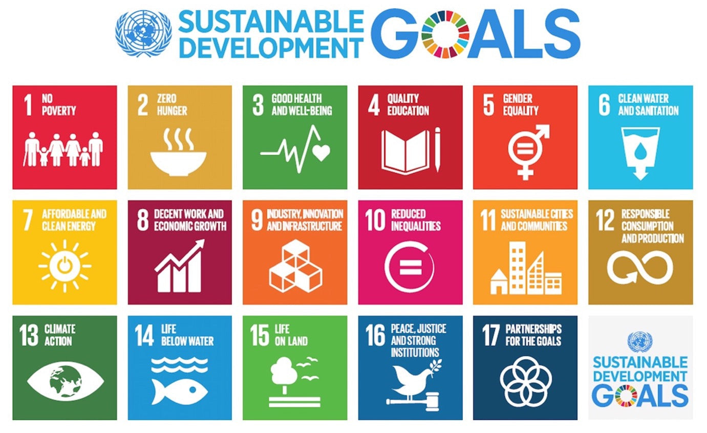 Challenge Participation - SDG 13 Climate Action