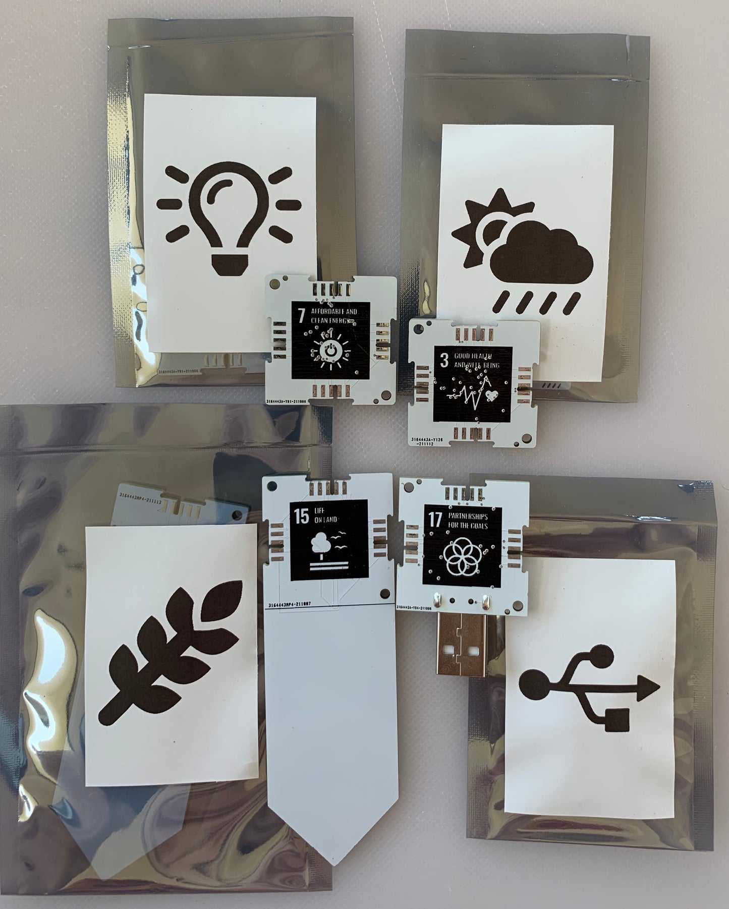 Advanced Kit and Challenge Participation - SDG 15 Life on Land
